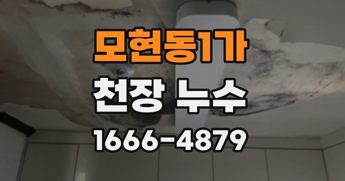 모현동1가 천장 누수