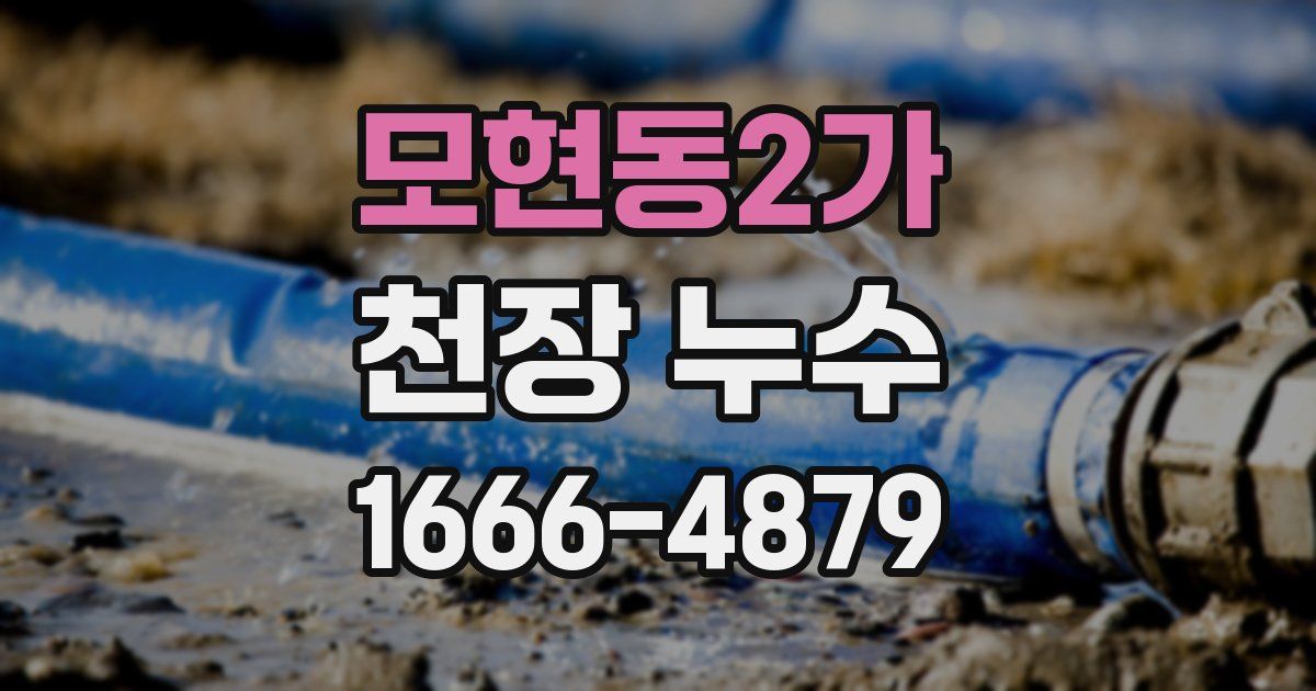 모현동2가 천장 누수