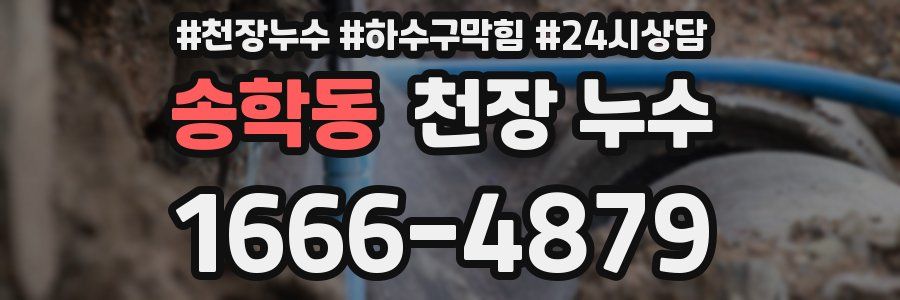 송학동 천장 누수