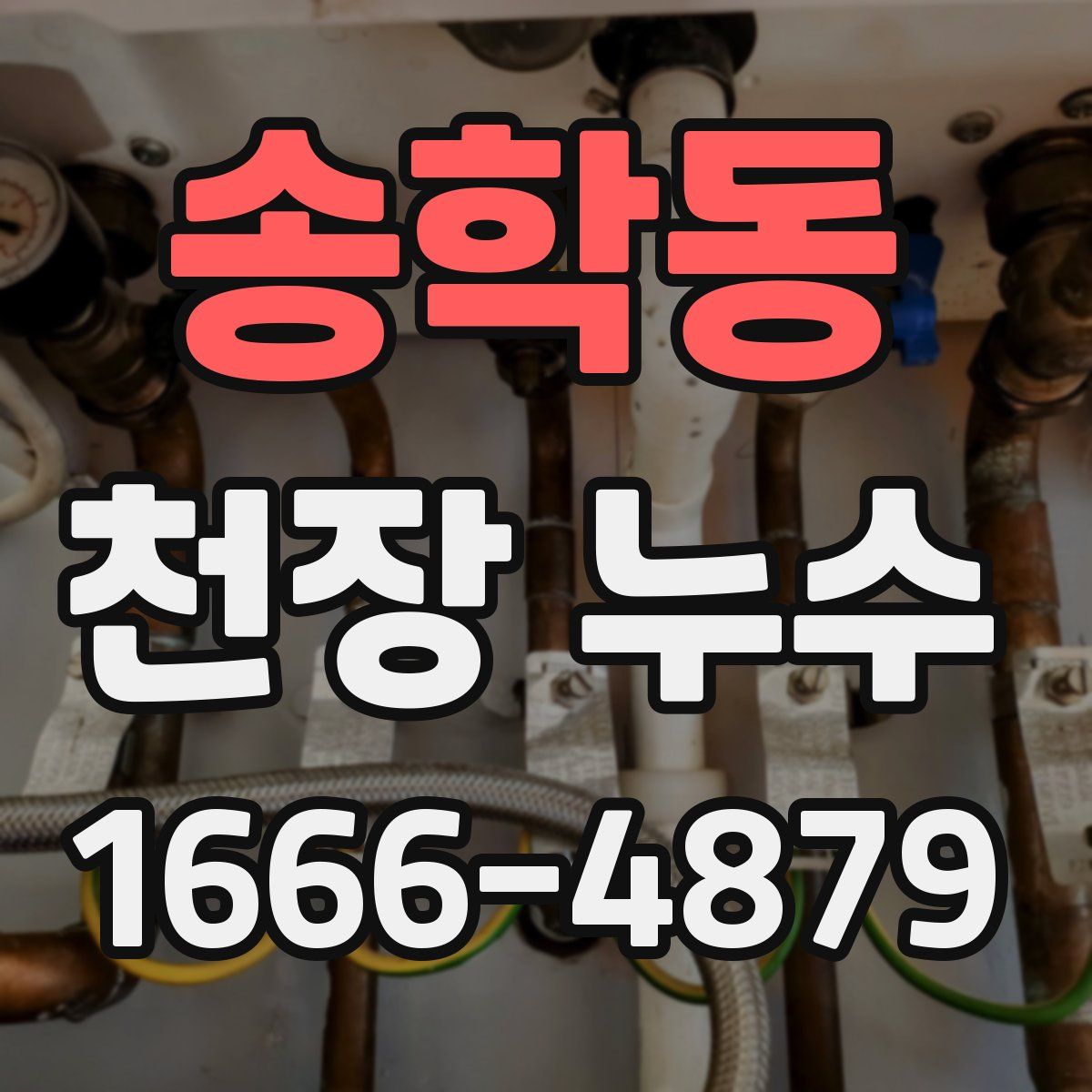 송학동 천장 누수