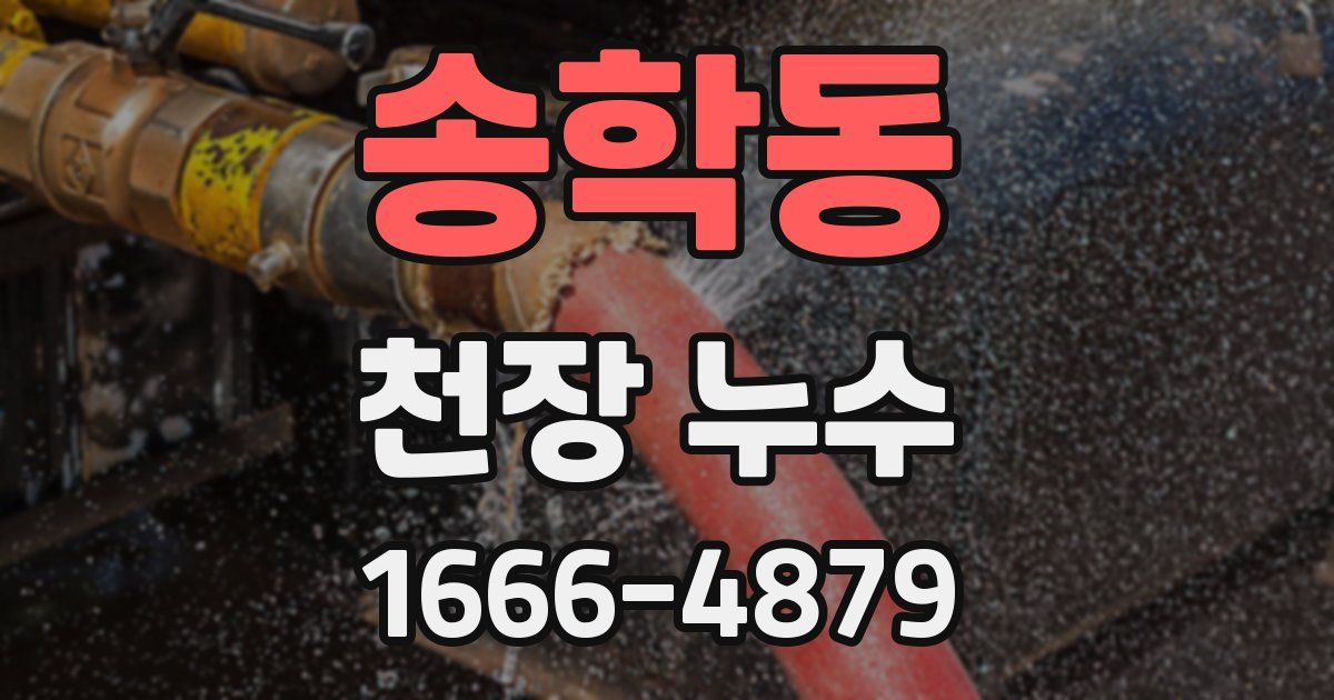 송학동 천장 누수