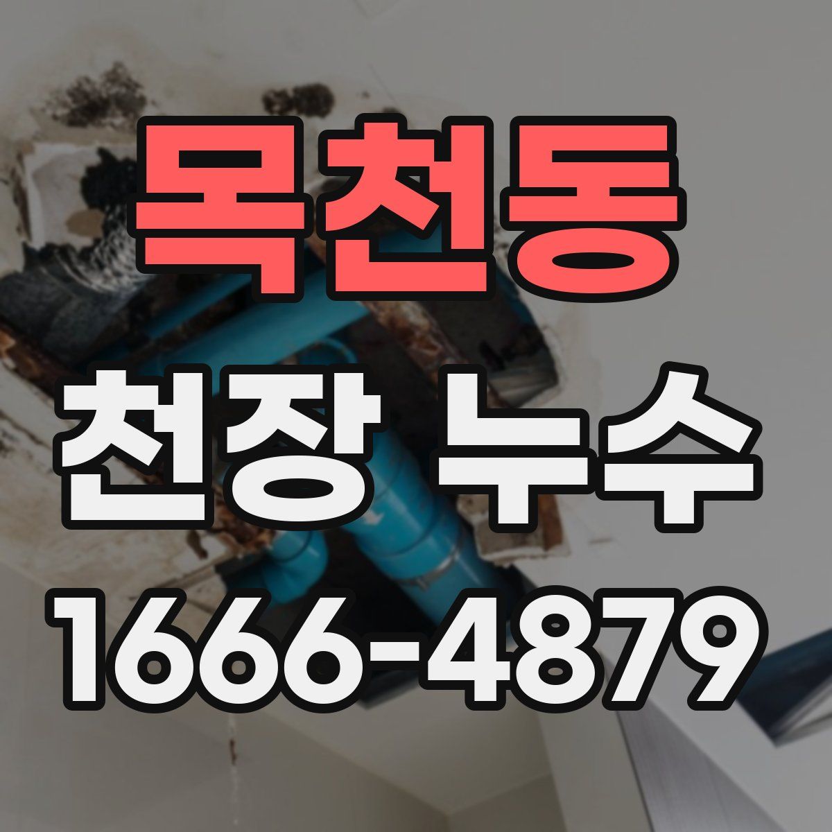 목천동 천장 누수
