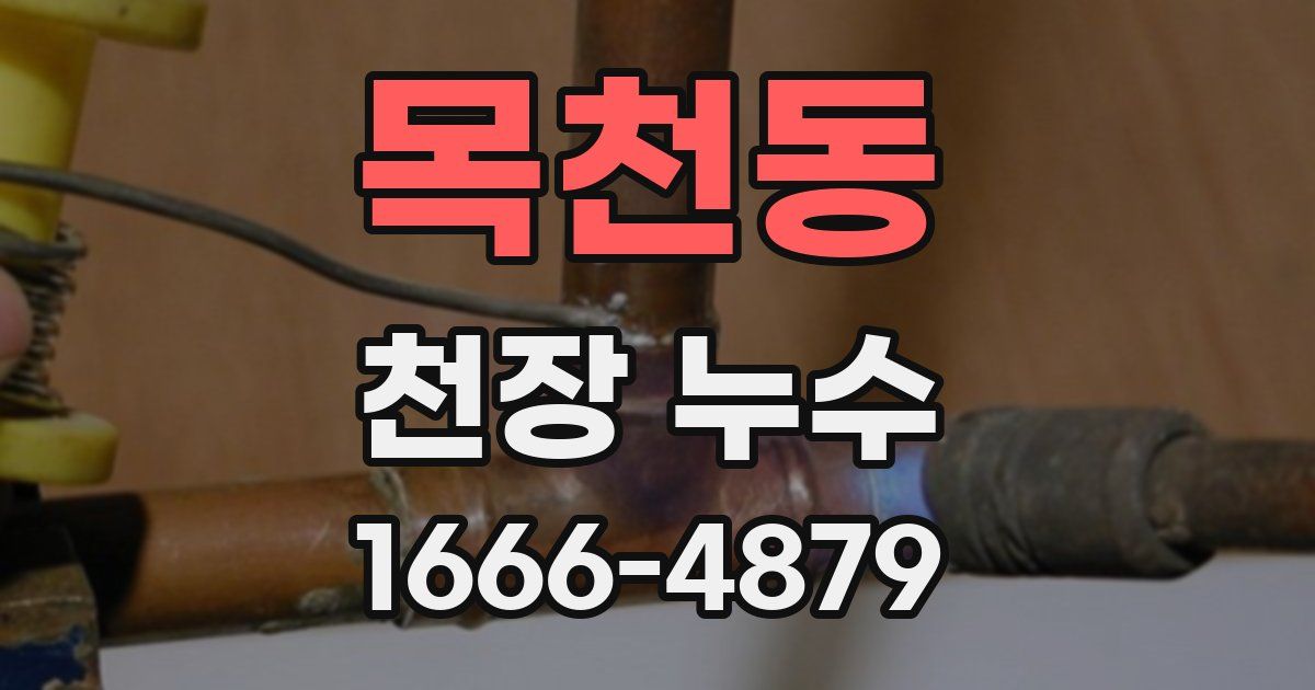 목천동 천장 누수