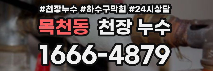 목천동 천장 누수