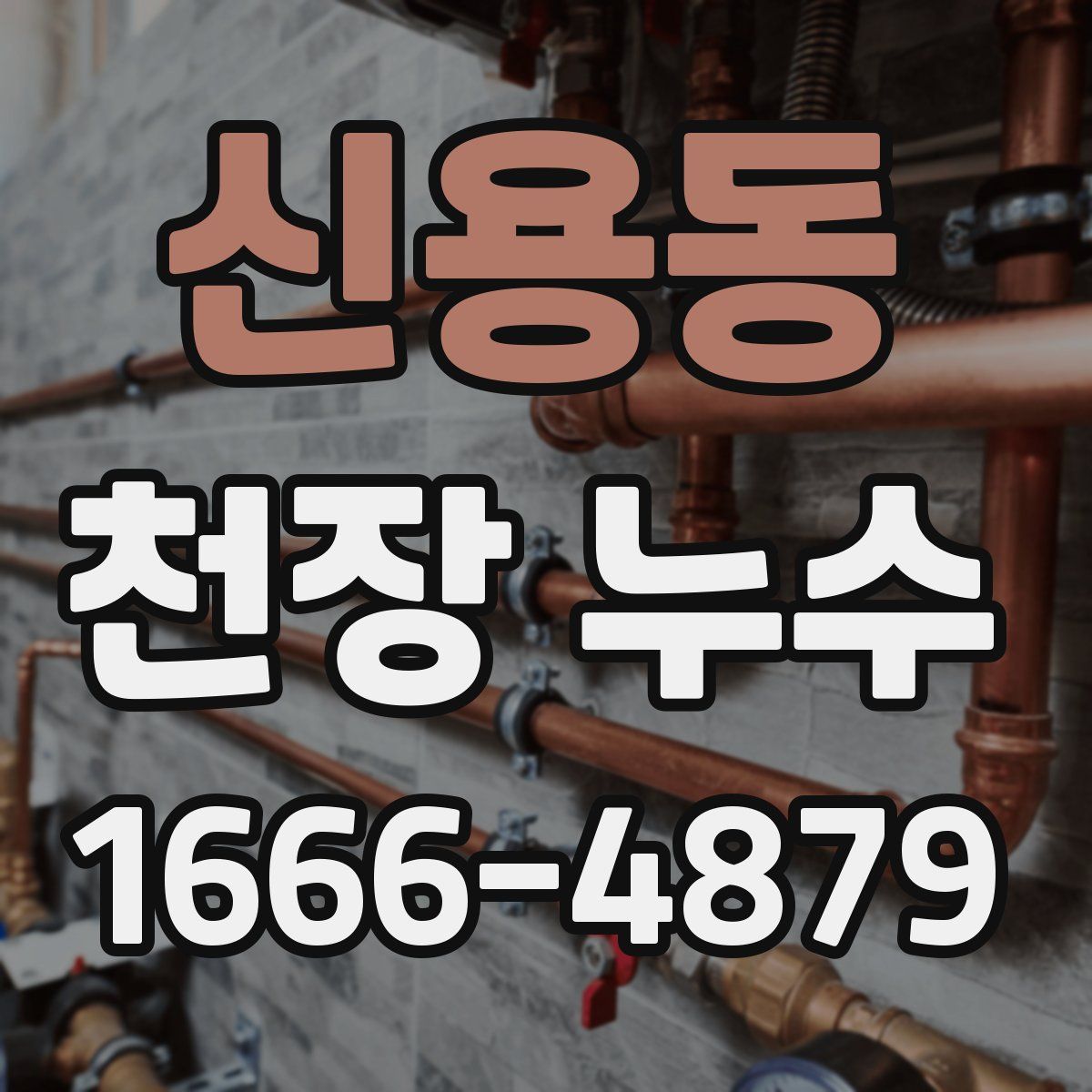 신용동 천장 누수