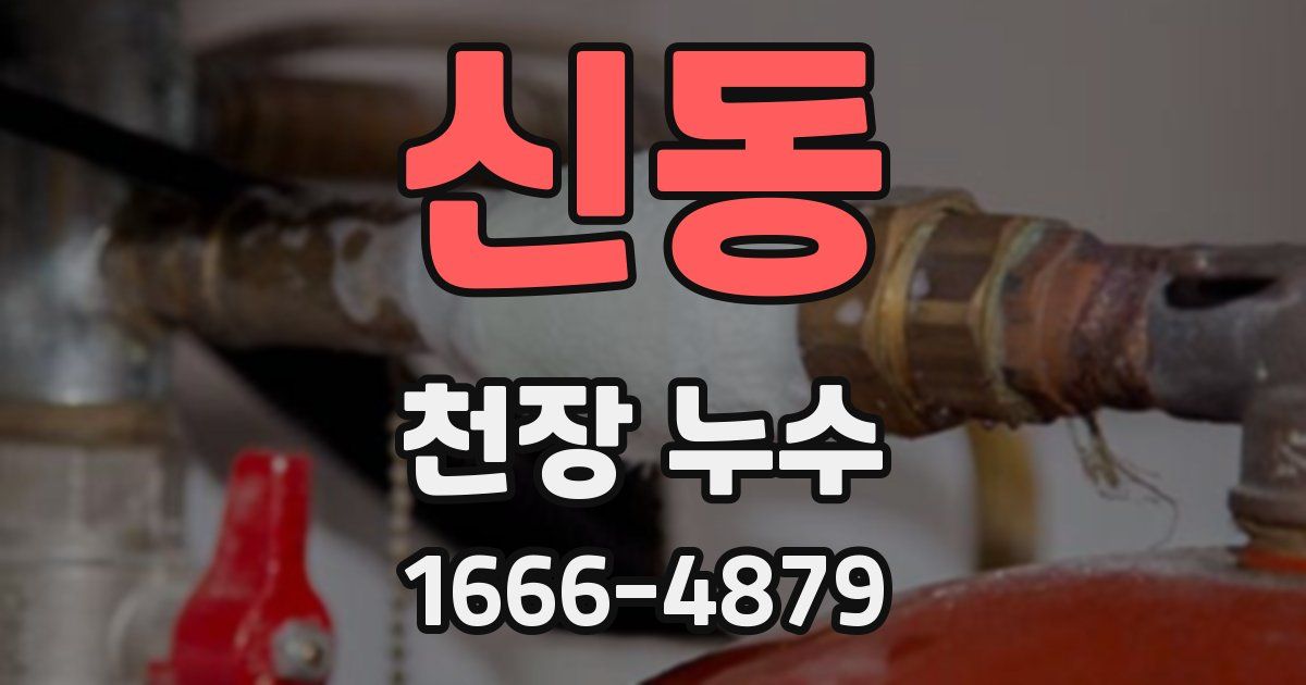 신동 천장 누수