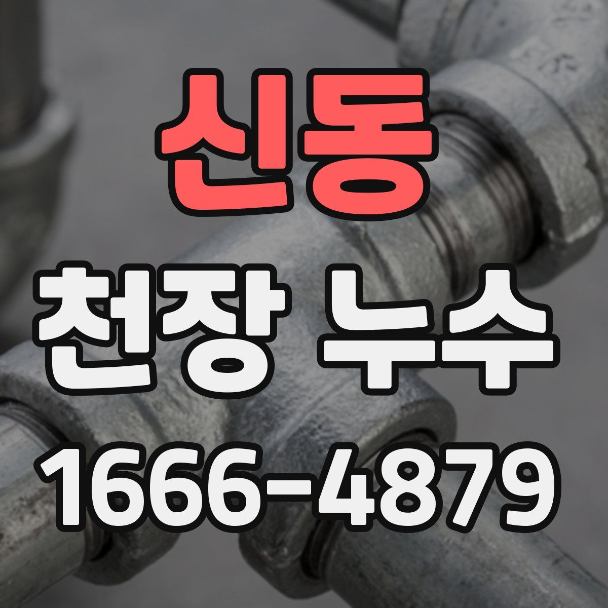 신동 천장 누수