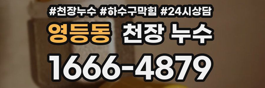 영등동 천장 누수