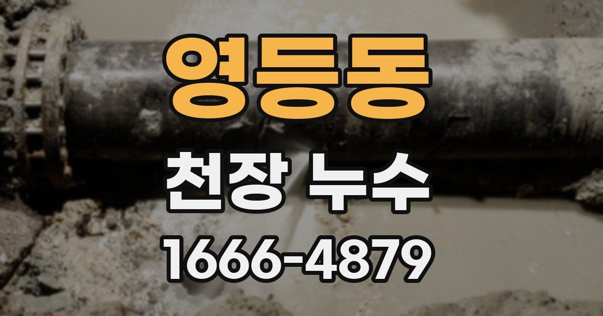 영등동 천장 누수