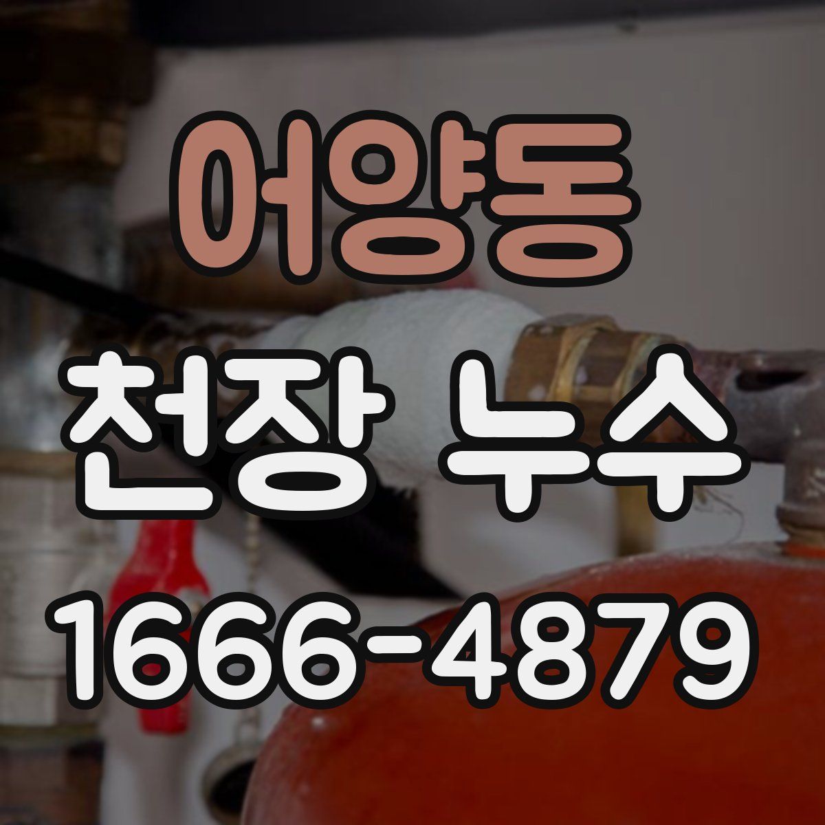 어양동 천장 누수