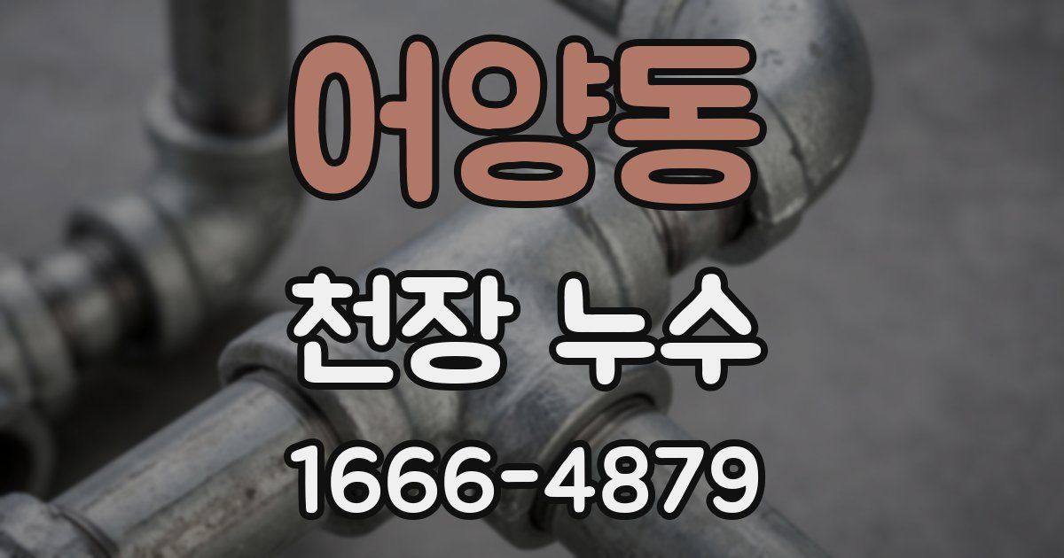 어양동 천장 누수