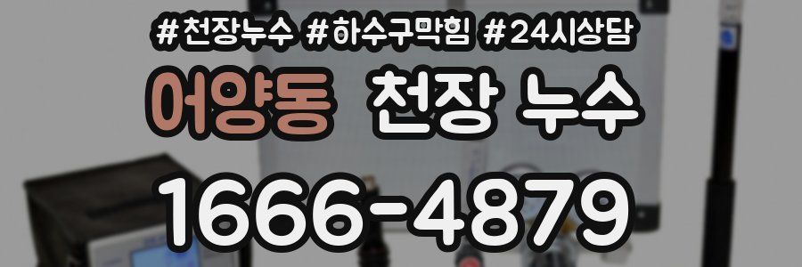 어양동 천장 누수