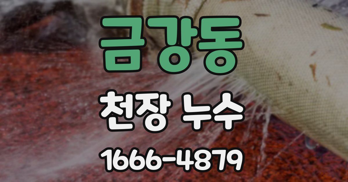 금강동 천장 누수