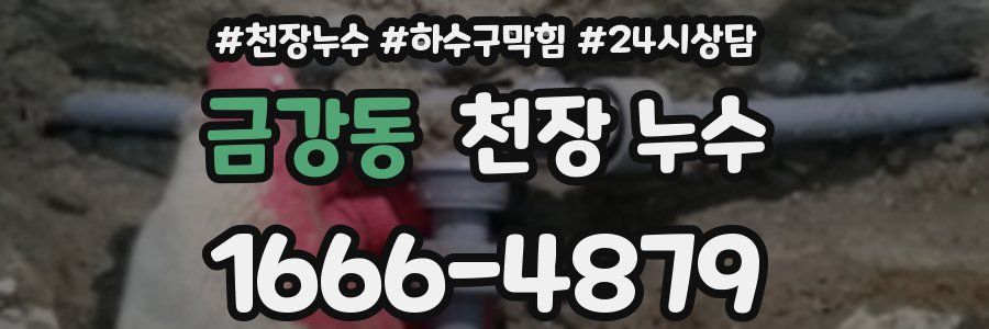 금강동 천장 누수