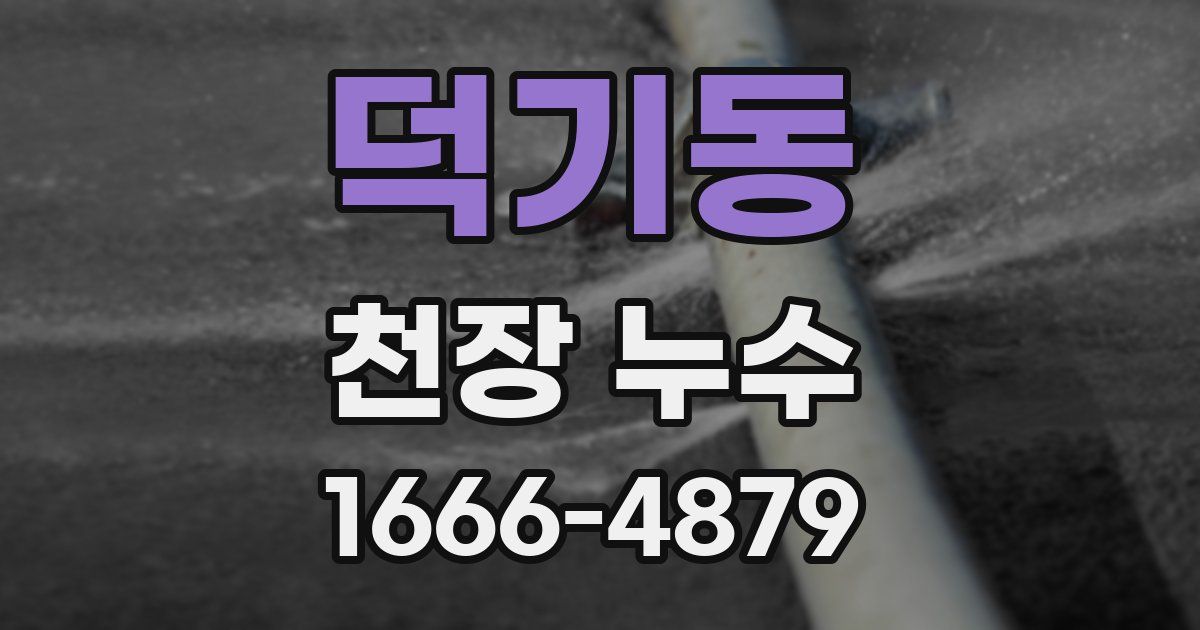 덕기동 천장 누수