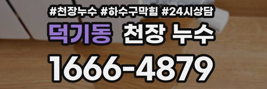 덕기동 천장 누수