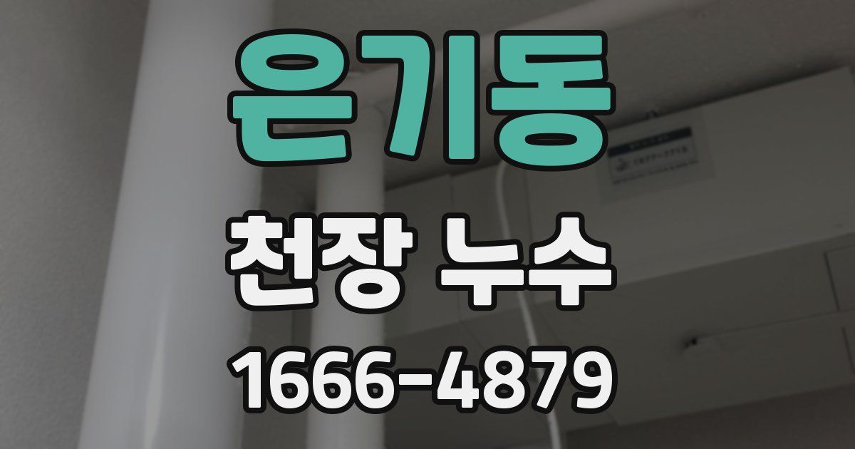 은기동 천장 누수