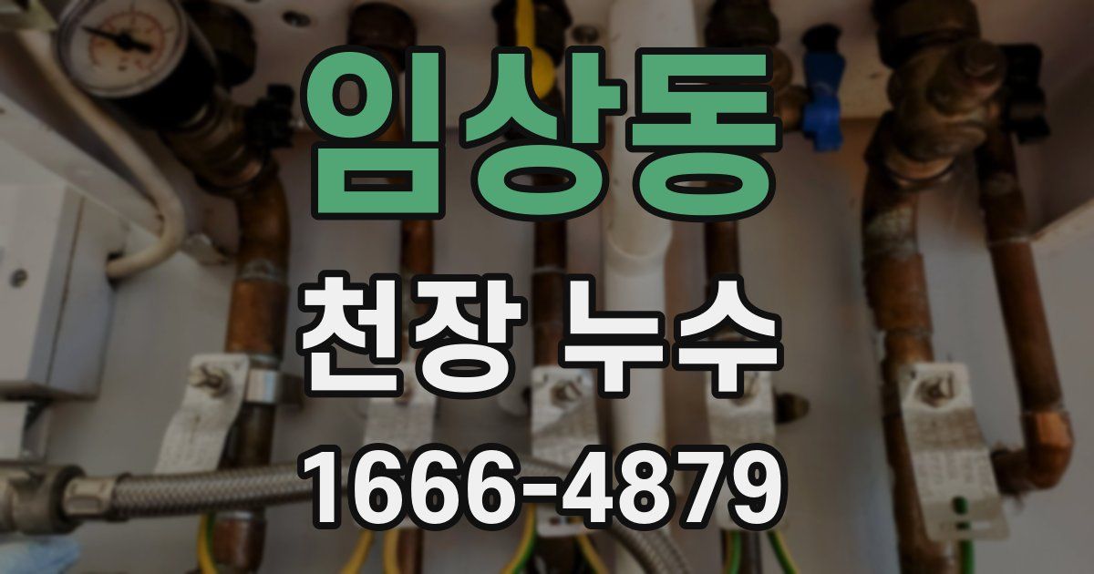 임상동 천장 누수