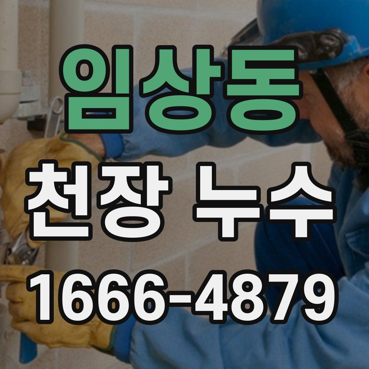 임상동 천장 누수