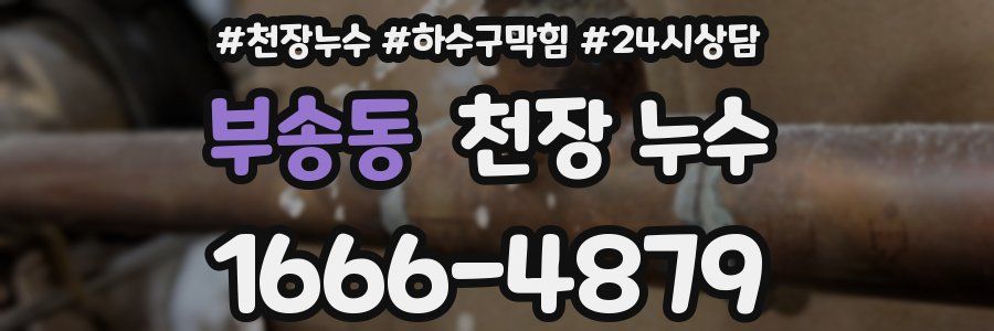 부송동 천장 누수