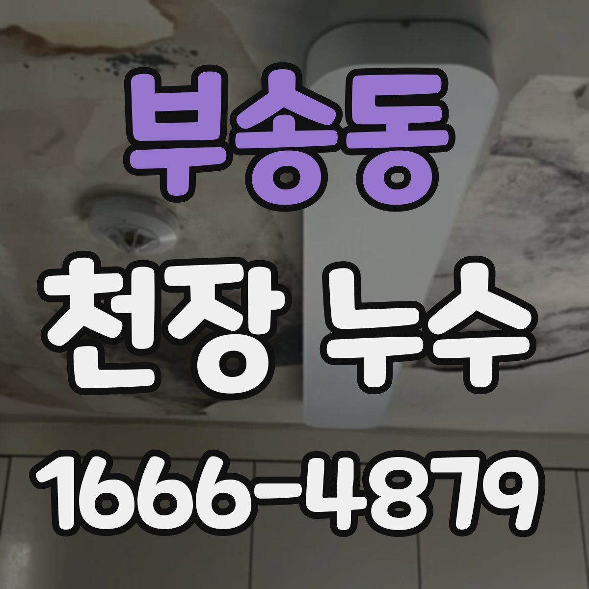 부송동 천장 누수