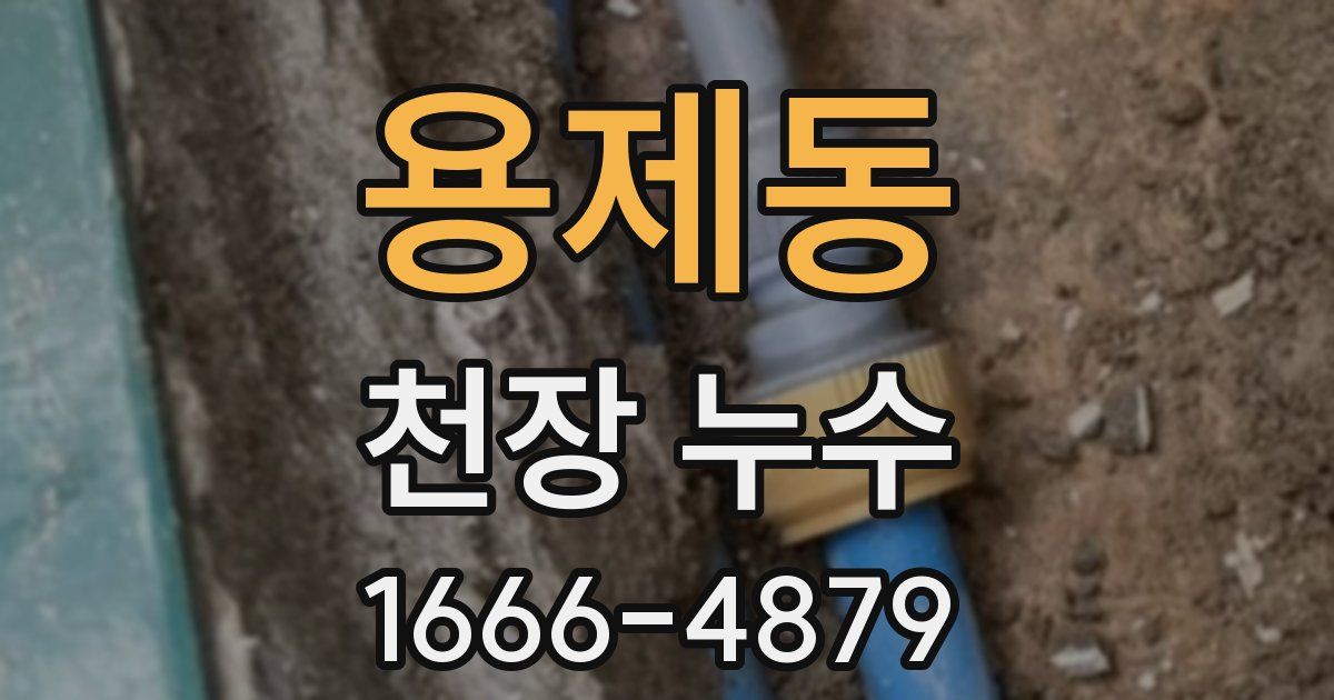 용제동 천장 누수