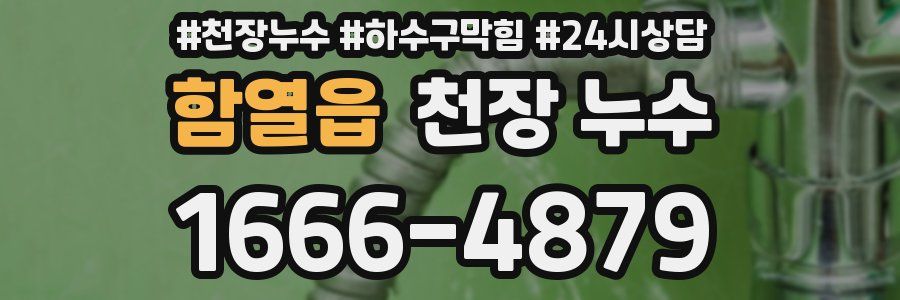 함열읍 천장 누수