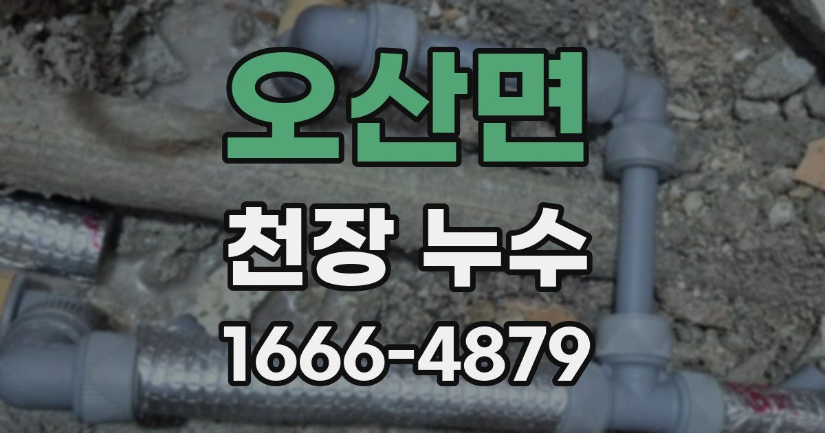 오산면 천장 누수