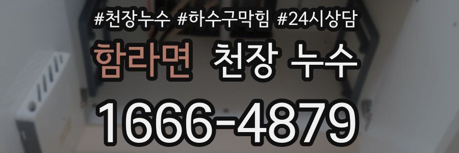 함라면 천장 누수