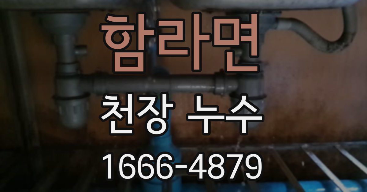 함라면 천장 누수