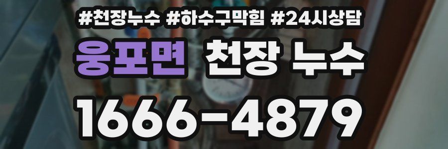 웅포면 천장 누수