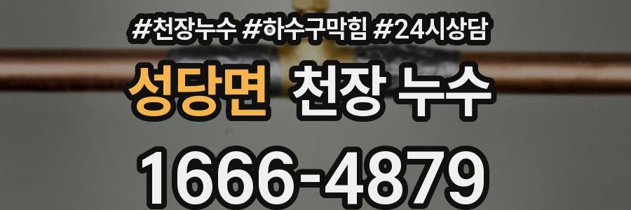 성당면 천장 누수