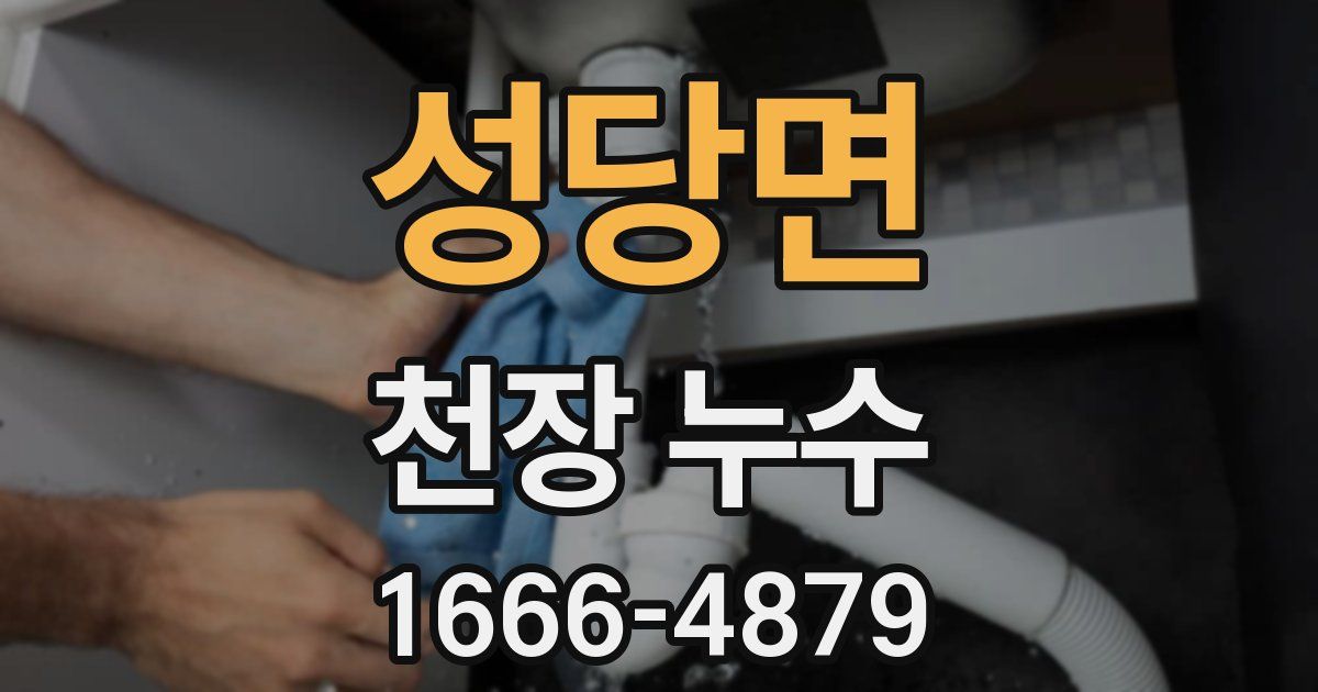 성당면 천장 누수
