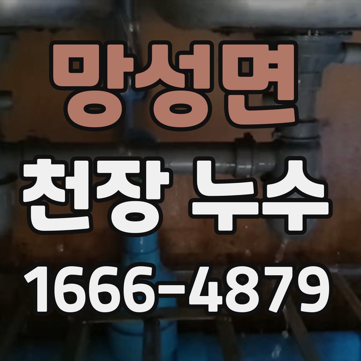 망성면 천장 누수