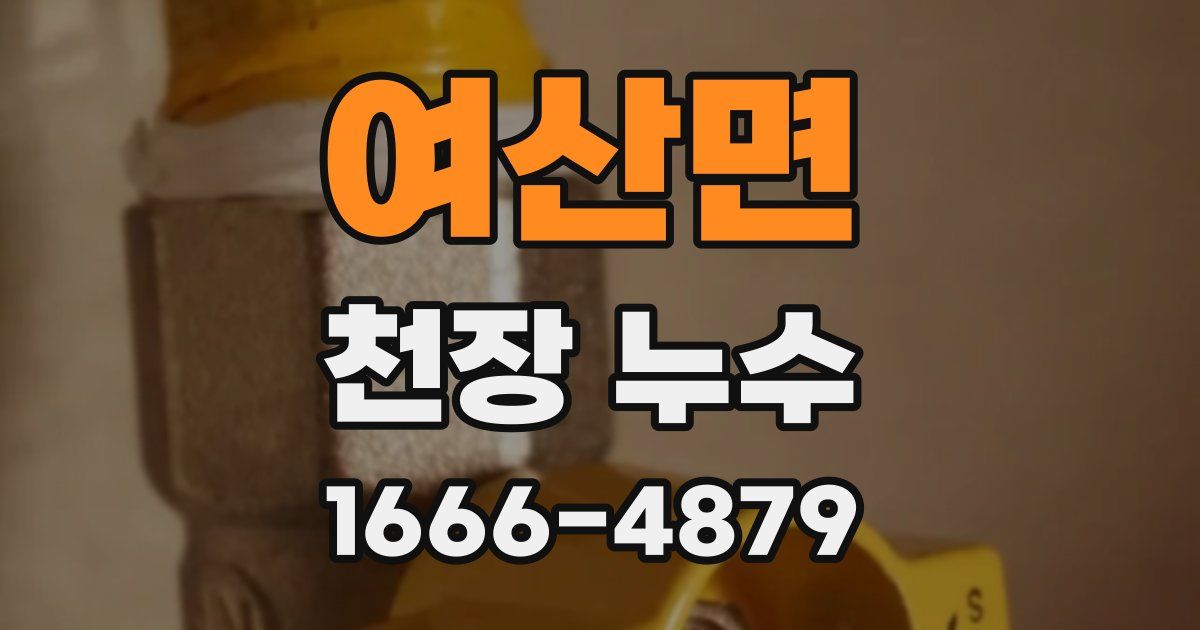 여산면 천장 누수