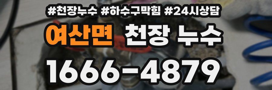 여산면 천장 누수