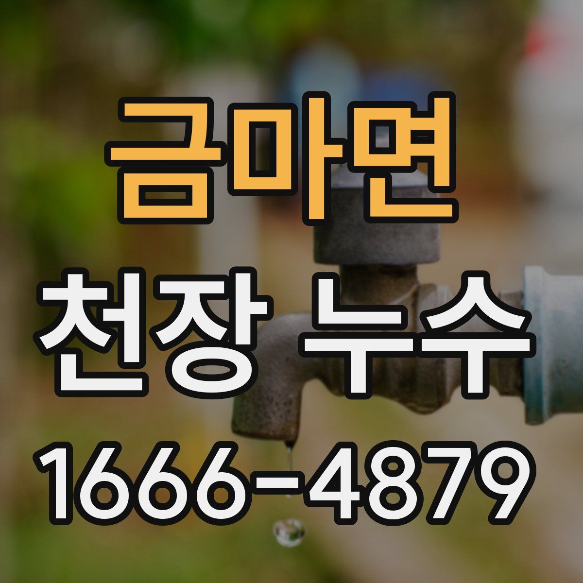 금마면 천장 누수