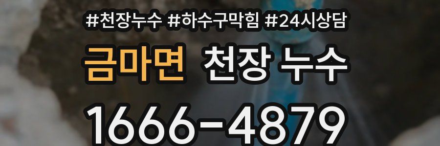 금마면 천장 누수