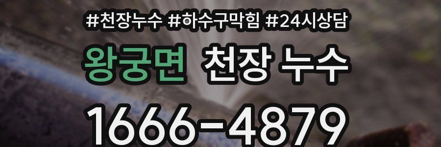 왕궁면 천장 누수