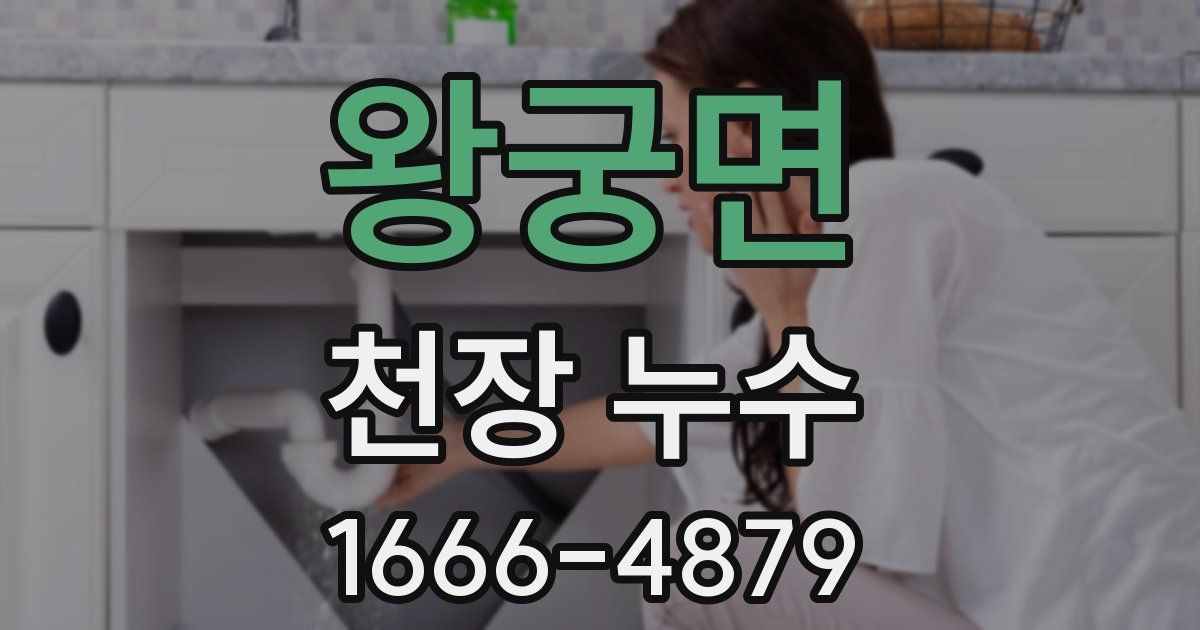 왕궁면 천장 누수