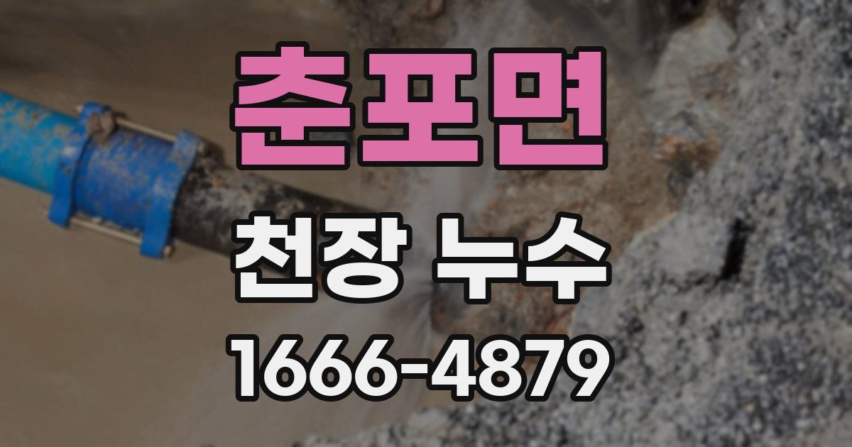 춘포면 천장 누수