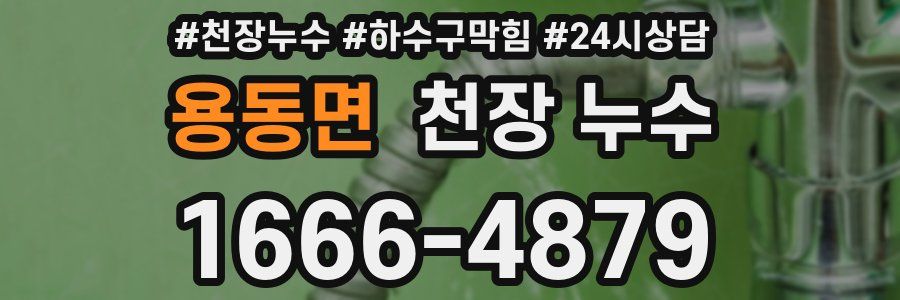 용동면 천장 누수