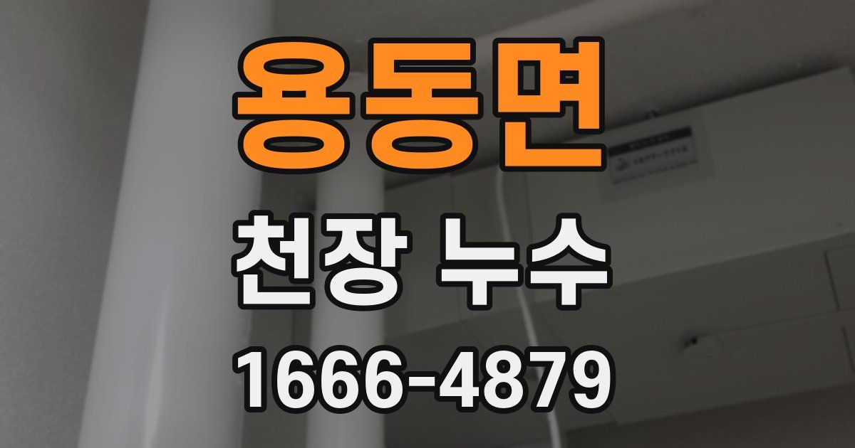 용동면 천장 누수