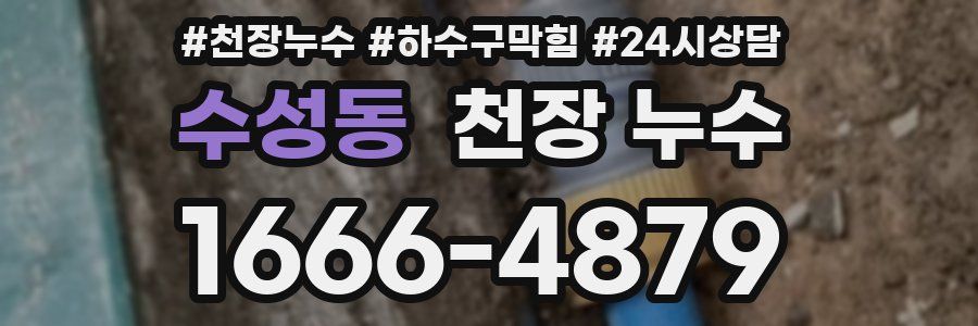 수성동 천장 누수