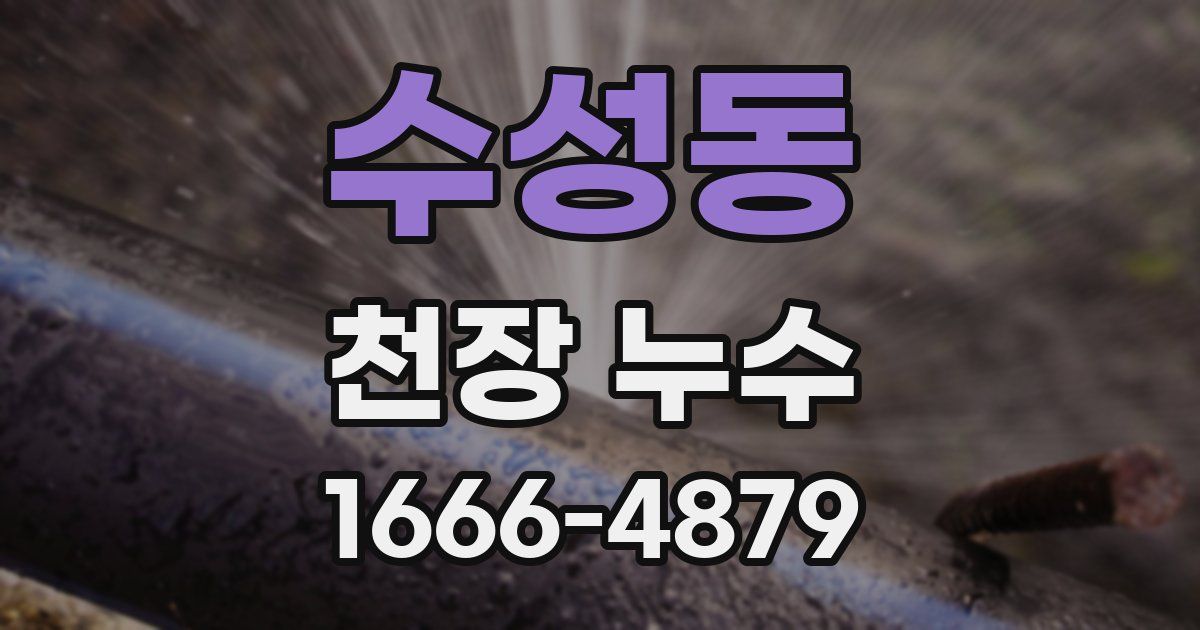 수성동 천장 누수