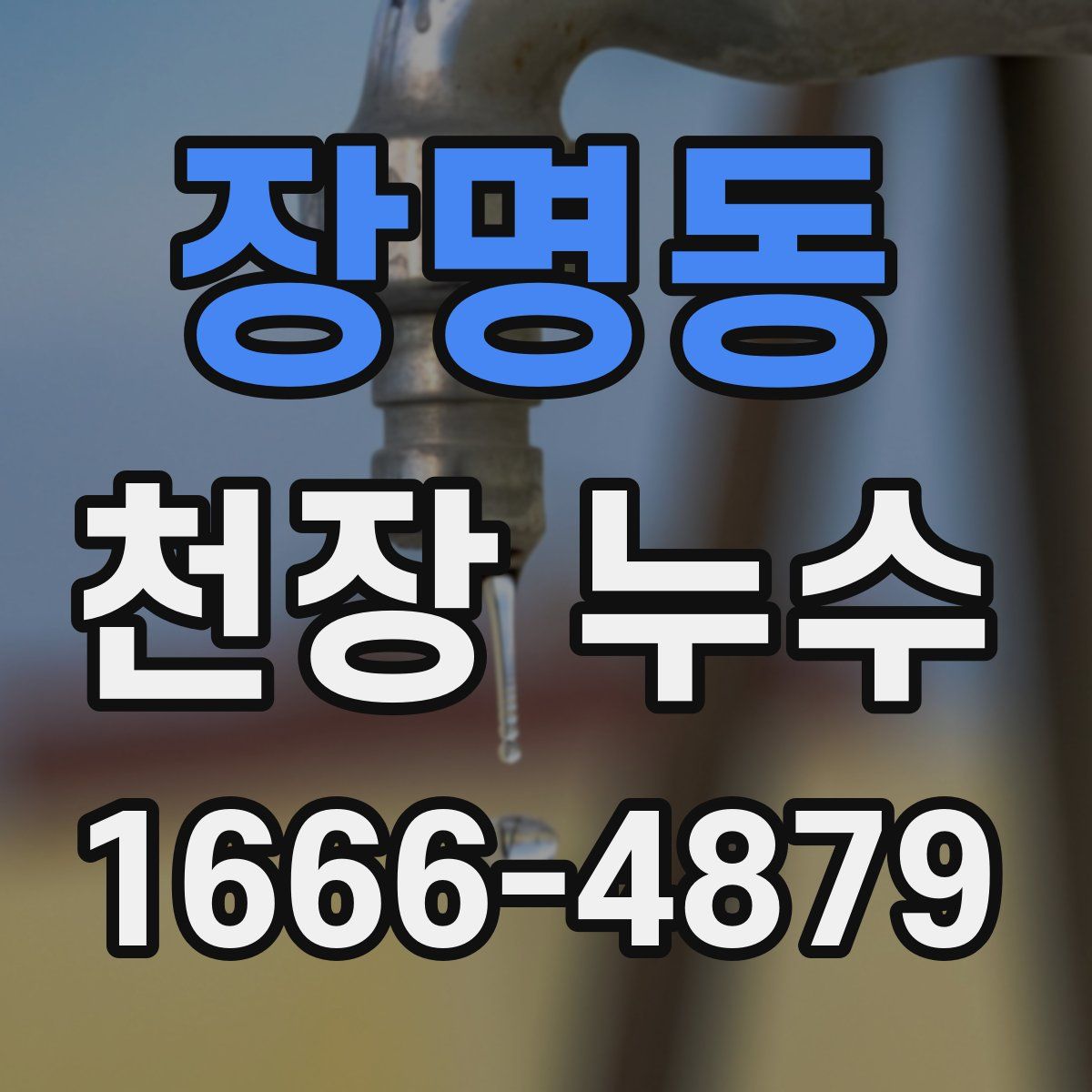 장명동 천장 누수