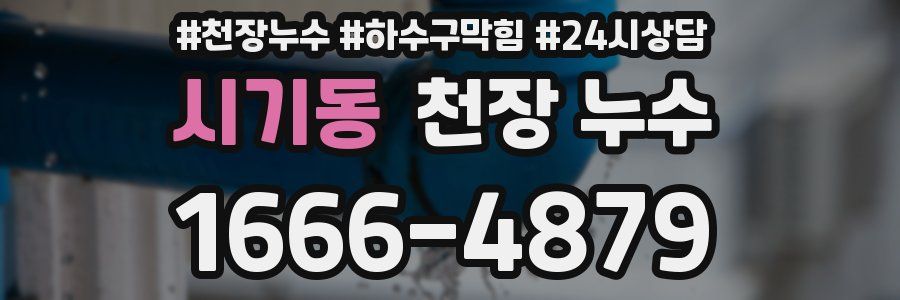 시기동 천장 누수