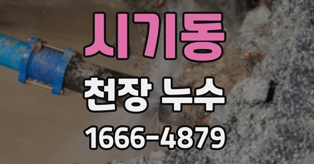 시기동 천장 누수