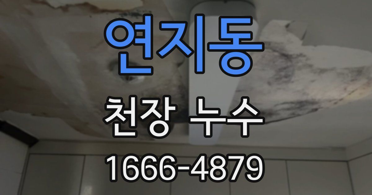 연지동 천장 누수