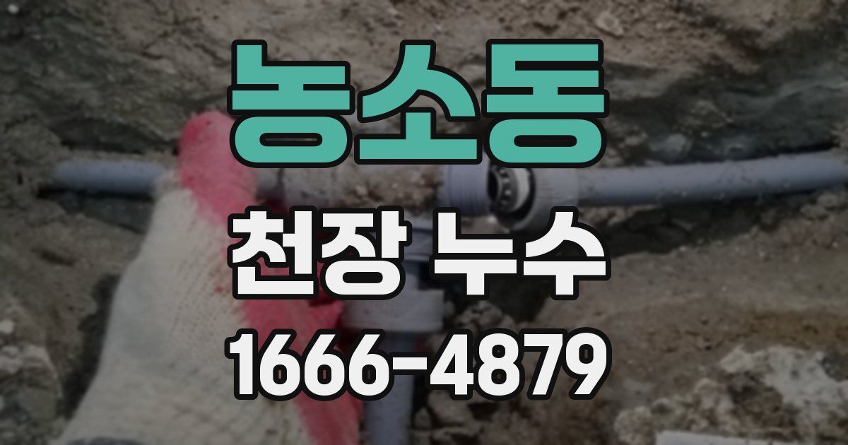 농소동 천장 누수